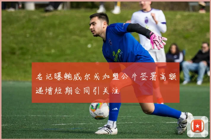 名记曝鲍威尔或加盟公牛签署高额递增短期合同引关注