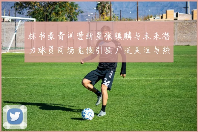 林书豪青训营新星张镇麟与未来潜力球员同场竞技引发广泛关注与热议