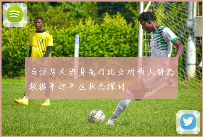 马拉与文班身高对比分析两人静态数据平起平坐状态探讨