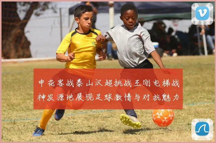 申花客战泰山汉超挑战王刚电梯战神发源地展现足球激情与对抗魅力